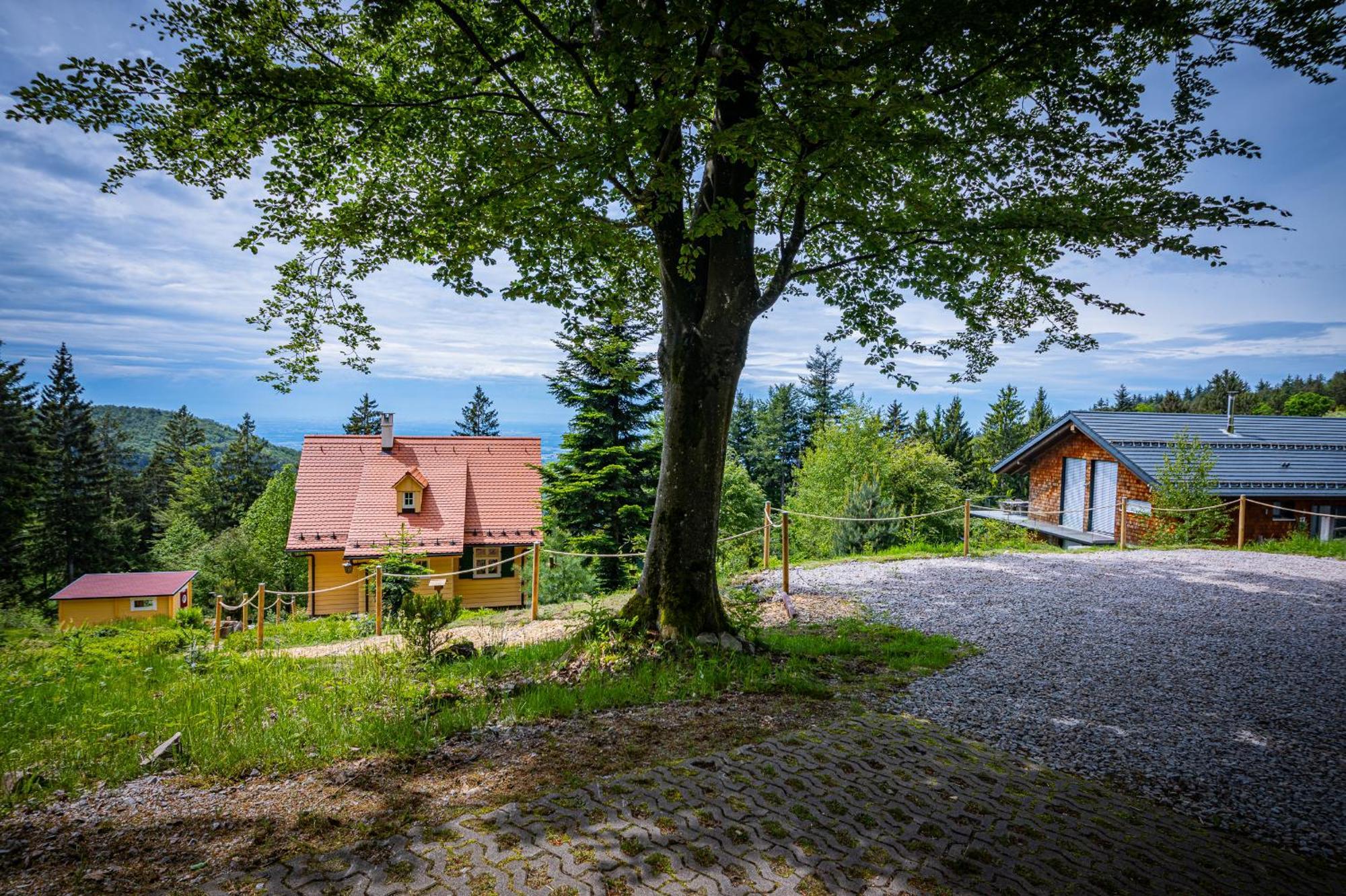 Sonnenhaeusle - Natur. Fernblick. Panorama-Sauna. Sasbachwalden Exterior foto